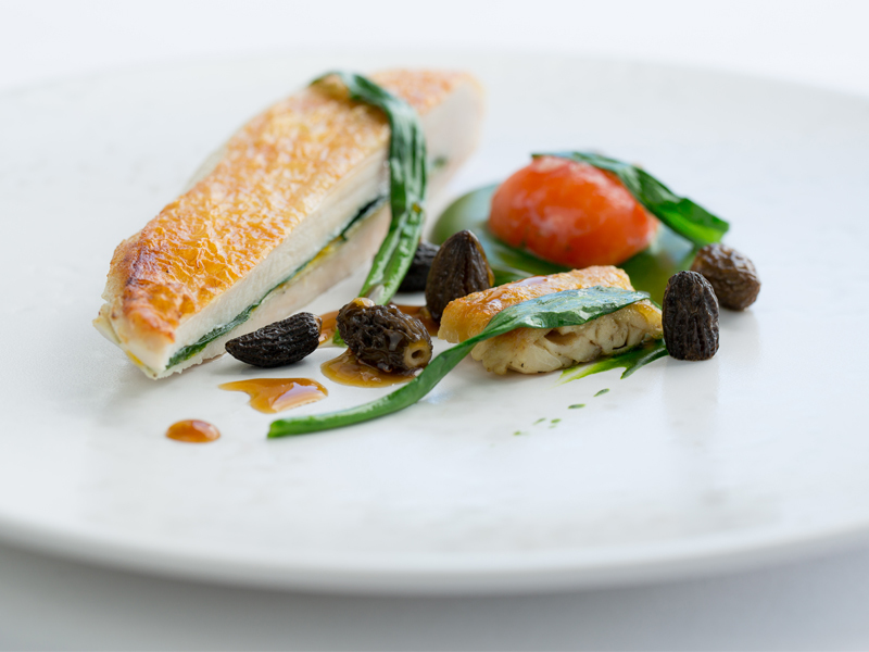 Cotswold White Chicken, Wild Garlic, Smoked Egg Yolk, Morels by Russell Bateman