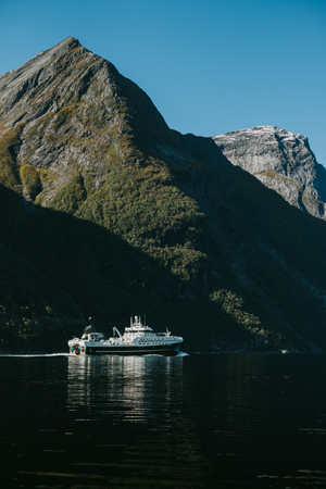 Norwegian seafood haddock with wild mushroom ragout 1